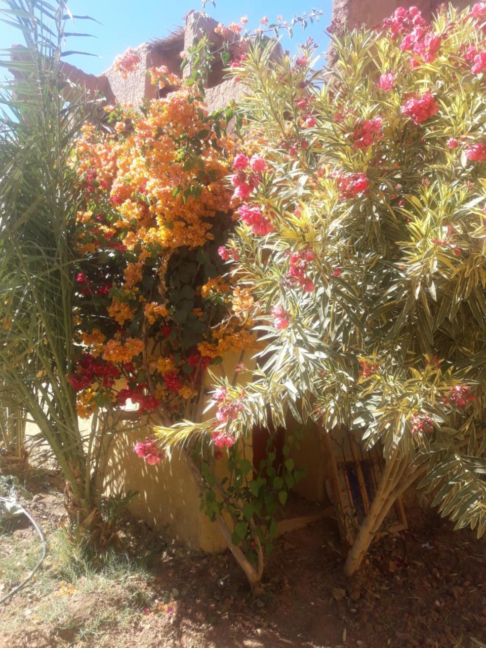 Kasbah Timidarte Hotel Zaouita Bou Lhassane Buitenkant foto