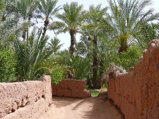 Kasbah Timidarte Hotel Zaouita Bou Lhassane Buitenkant foto